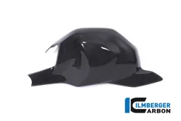 Swing arm cover gloss Panigale V4 / V4 S