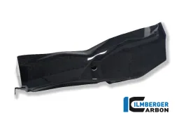 Bellypan (Oil Catch Tank) Carbon - Ducati 1199 Panigale