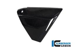 Triangular Frame Cover Right Carbon - BMW R 1200 GS (LC from 2013) / R 1200 R (LC) from 2015 / R 120