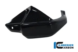 Hand Protectors Left Carbon - BMW F 800 GS Adventure (2013-now) / R 1200 GS (LC) (2013-now) / R 120