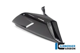 Airtube cover right side gloss Diavel 1260