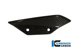 Fairing winglet left Carbon