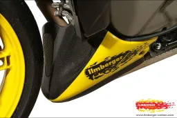 Motor spoiler short carbon