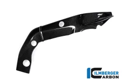 Right frame cover carbon