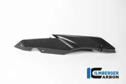 Underseat Side Panels right Carbon - BMW R 1200 R (LC) from 2015 / BMW R 1200 RS (LC) from 2015