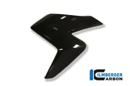 Left radiator cover carbon