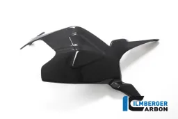 Swing Arm Cover - Ducati Panigale 1299 (from 2015) / V2