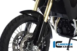 Front Mudguard Carbon - BMW F 800 GS (2013-now) / F 800 GS Adventure (2013-now)