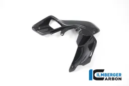 Airtube left (Upper Watercooler Cover) Carbon - BMW R 1200 GS (LC from 2013)