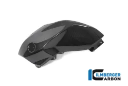 Tank Panel left BMW R 1250 R