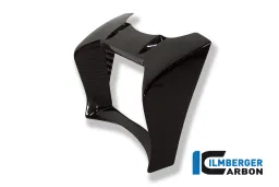 Oil Cooler Cover Carbon -BWM R 1200 R till MY 2010