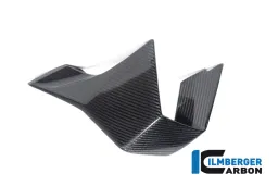 Winglet left side BMW M 1000 RR MY from 2023