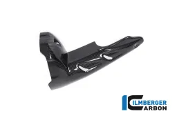 Silencer Protector (front) BMW R 1250 GS from 2019