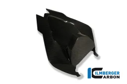 Rear fairing street (single-seater) carbon