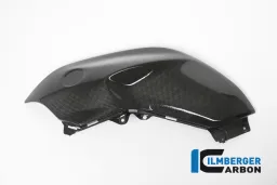 Tank Panel left Side Carbon - BMW R 1200 R (LC) from 2015