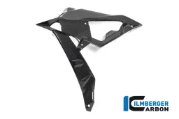 Radiator cover / Badge holder left side - BMW S 1000 R (ab 2017)