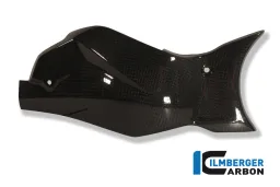 Swingarm Cover / Chain Guard Carbon