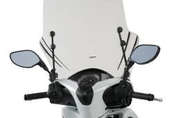 Windshield T.X.