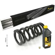 Progressive replacement springs -25mm for BMW F900GS / Adventure (2024-), lowering springs for fork and shock absorber