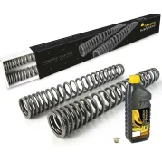 Progressive fork springs for Honda XL750 Transalp (RD17) (2025-)
